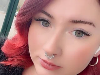 Profile preview